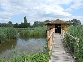 Vogelkijkhut op de Jutse Plassen