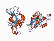 1an0: CDC42HS-GDP COMPLEX