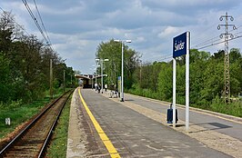 Station Świder