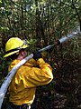 Image 8Wildland firefighter working a brush fire in Hopkinton, New Hampshire, US (from Wildfire)