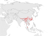 Vorkommen nach Daten der IUCN 2008[8]