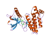 1y6b: Crystal structure of VEGFR2 in complex with a 2-anilino-5-aryl-oxazole inhibitor