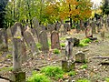 Cimetière juif cimetière