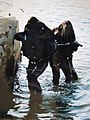 Commando Hubert personnel transition over a beach.