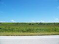 View of the Dike in Glades County from Florida State Road 78, south of the Brighton Seminole Indian Reservation