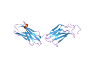 2gee: Crystal Structure of Human Type III Fibronectin Extradomain B and Domain 8