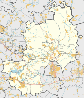 Большое Буньково (Богородский городской округ)