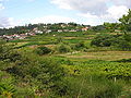 Paisaxe rural no concello de Moraña.