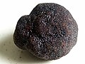 Tartufo: trifola f.