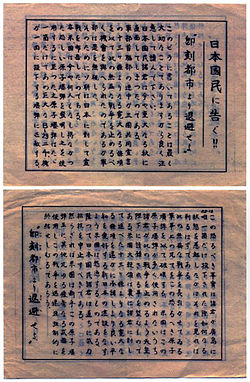 Brownish leaflet covered in Japanese writing