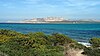 Asinara Island.