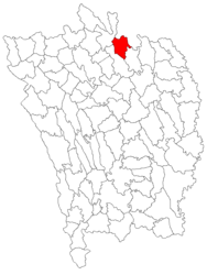 Location in Vaslui County