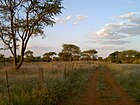 Farmweg nahe Omaruru