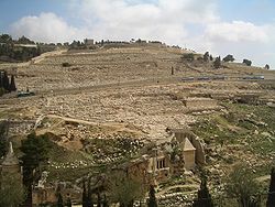 הר הזיתים ובתחתיתו עמק נחל קדרון ושורת קברים עתיקים