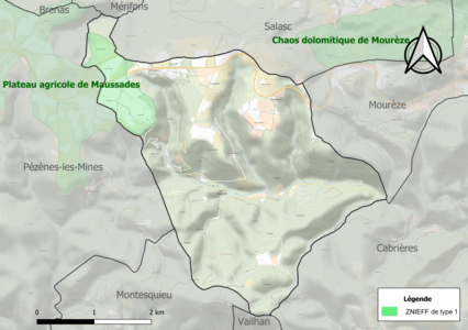 Carte de la ZNIEFF de type 1 sur la commune.