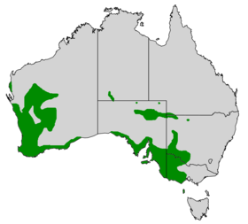 Área de distribución de C. leucocephalus