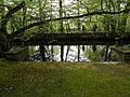 Le parc de la Chalotais.