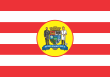 Vlag van Blumenau