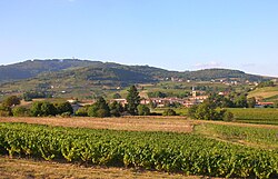 Skyline of Lantignié