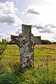 Hans Krok's cross