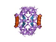 1pfm​: PF4-M2 himerični mutant sa prvih 10 N-terminalnih R-PF4 ostataka zamenjenih sa N-terminalnim ostacima IL8 sekvence. Modeli 1-15 iz seta sa 27-modela.