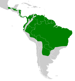 Distribución geográfica del batará mayor.