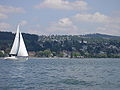 Lago Zurich kun velada boato, populara amataĵo sur la lago.