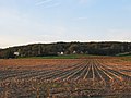 Vue du mont de l'Enclus.