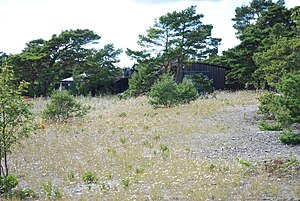 Secluded wooden house