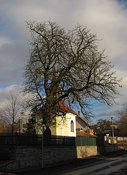 Kaple sv. Floriána, Olešná