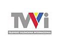 Logotipo de TVVI, predecesora de Canal Nou Internacional, de 2005 a 2008.