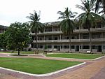 Antigo edificio escolar, cun patio con palmeiras diante