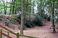 Part of the hill fort's defensive bank.