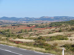 Paysage de garrigue au rougier de Camarès.