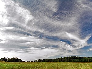 A photograph showing many types of cirrus clouds all jumbled together floating above a plain