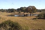 Vorschaubild für Tembe Elephant Park