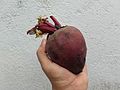 A beet