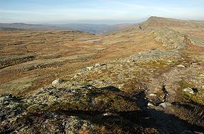 Blick vom Gipfel des Forollhogna nach Norden