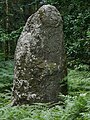 Menhir