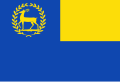 Vlag van Epe