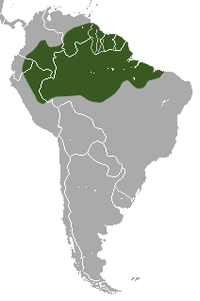 Distribución de Choloepus didactylus