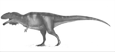 Mapusaurus