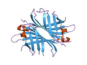 Image illustrative de l’article Streptavidine