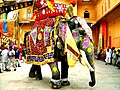 A decorated Indian elephant in Jaipur, India.