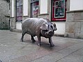 Feira do cocido de Lalín: o porco é o protagonista da feira (foto de escultura na vila)