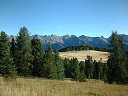 Val di Fiemme i augusti 2003.