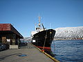 MS «Nordstjernen» ved kai i Tromsø.