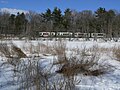 MBTA Green Line train