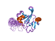 1v06: AXH DOMAIN OF THE TRANSCRIPTION FACTOR HBP1 FROM M.MUSCULUS