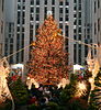 Rockefeller Center Christmas Tree